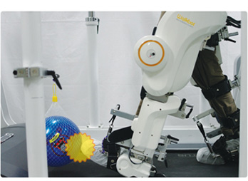 rehabilitation robot